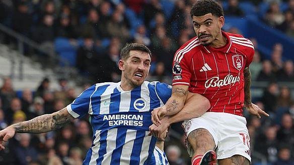 Lewis Dunk and Morgan Gibbs-White tussle for the ball